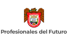 Profesionales del Futuro